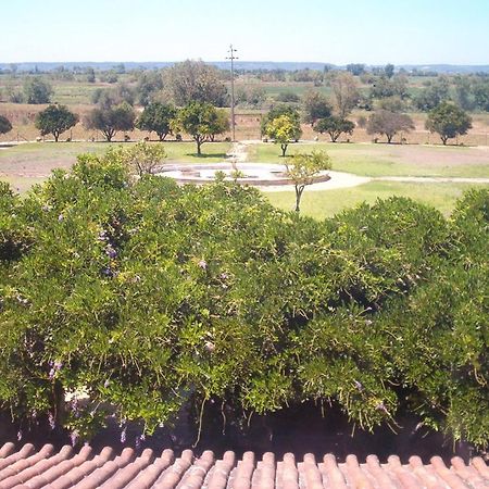 Quinta Do Casalinho ξενώνας Almeirim Εξωτερικό φωτογραφία